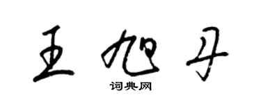 梁锦英王旭丹草书个性签名怎么写
