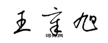 梁锦英王章旭草书个性签名怎么写
