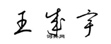 梁锦英王成宇草书个性签名怎么写
