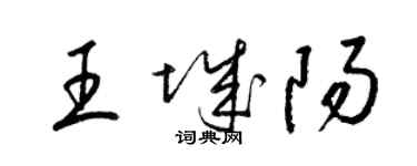 梁锦英王城阳草书个性签名怎么写