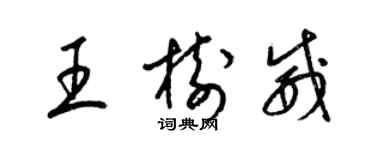 梁锦英王树威草书个性签名怎么写