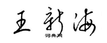 梁锦英王新海草书个性签名怎么写