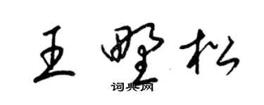 梁锦英王野松草书个性签名怎么写
