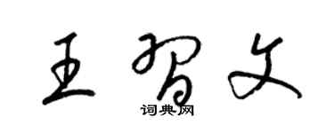 梁锦英王习文草书个性签名怎么写