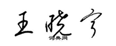 梁锦英王晓宁草书个性签名怎么写