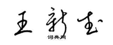 梁锦英王新武草书个性签名怎么写