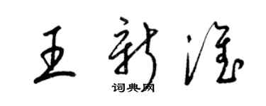 梁锦英王新淮草书个性签名怎么写