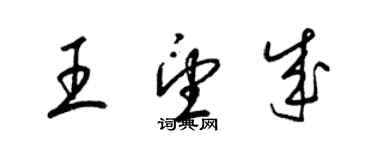 梁锦英王望成草书个性签名怎么写