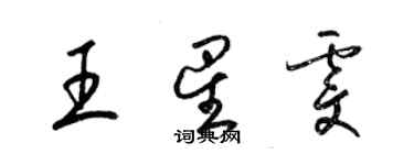 梁锦英王星雯草书个性签名怎么写