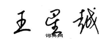 梁锦英王星越草书个性签名怎么写