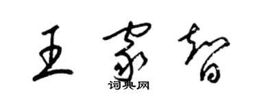 梁锦英王家智草书个性签名怎么写