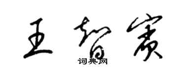梁锦英王智宾草书个性签名怎么写