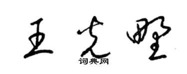 梁锦英王光野草书个性签名怎么写