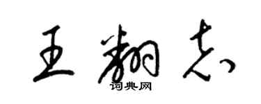 梁锦英王翻志草书个性签名怎么写