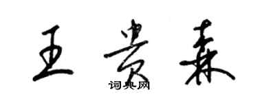 梁锦英王贵森草书个性签名怎么写