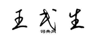 梁锦英王民生草书个性签名怎么写