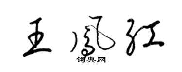 梁锦英王凤红草书个性签名怎么写