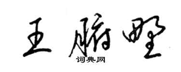 梁锦英王腑野草书个性签名怎么写