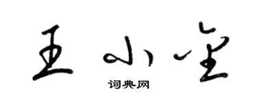 梁锦英王小金草书个性签名怎么写