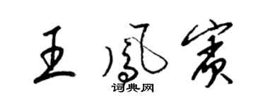 梁锦英王凤宾草书个性签名怎么写