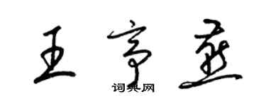 梁锦英王亭燕草书个性签名怎么写