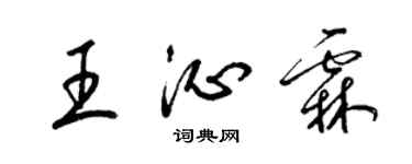 梁锦英王沁霖草书个性签名怎么写