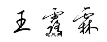 梁锦英王露霖草书个性签名怎么写