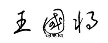 梁锦英王国将草书个性签名怎么写