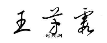 梁锦英王芳霞草书个性签名怎么写
