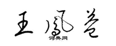 梁锦英王凤益草书个性签名怎么写
