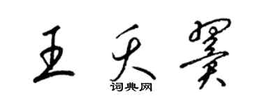 梁锦英王夭翼草书个性签名怎么写
