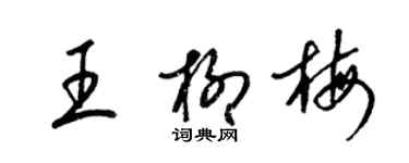 梁锦英王柳梅草书个性签名怎么写