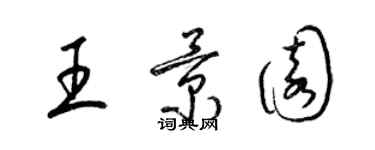 梁锦英王景园草书个性签名怎么写
