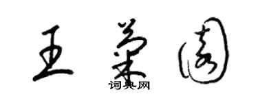 梁锦英王菊园草书个性签名怎么写