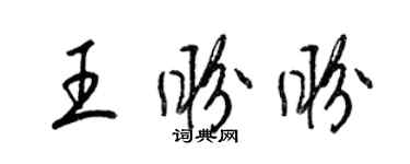 梁锦英王盼盼草书个性签名怎么写