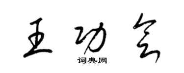 梁锦英王功会草书个性签名怎么写