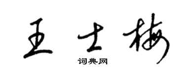 梁锦英王士梅草书个性签名怎么写