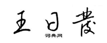 梁锦英王日发草书个性签名怎么写