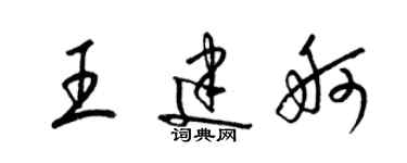 梁锦英王建舸草书个性签名怎么写