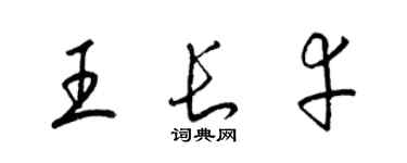 梁锦英王长幸草书个性签名怎么写