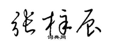 梁锦英张梓辰草书个性签名怎么写