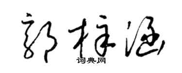 梁锦英郭梓涵草书个性签名怎么写