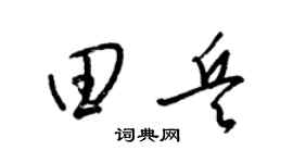 梁锦英田兵草书个性签名怎么写