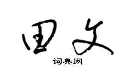 梁锦英田文草书个性签名怎么写