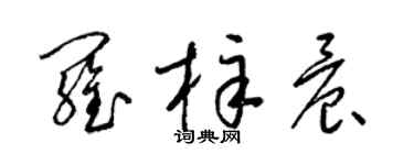 梁锦英罗梓晨草书个性签名怎么写