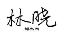 曾庆福林晓行书个性签名怎么写