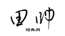 梁锦英田帅草书个性签名怎么写