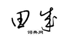 梁锦英田成草书个性签名怎么写