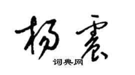 梁锦英杨震草书个性签名怎么写