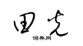 梁锦英田光草书个性签名怎么写